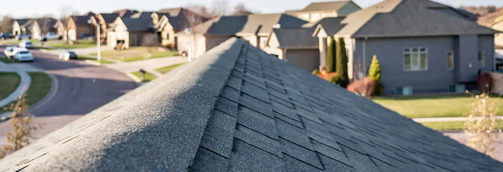 Shingle roof image